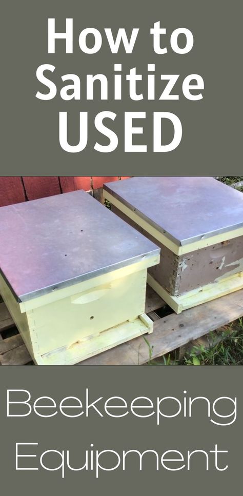 Video and blog post covering how you can sanitize used beekeeping equipment. Trees For Backyard, Trees For Small Gardens, How To Start Beekeeping, Bee Equipment, Honey Bees Keeping, Shrubs For Landscaping, Bee Hive Plans, Backyard Bee, Beekeeping Equipment