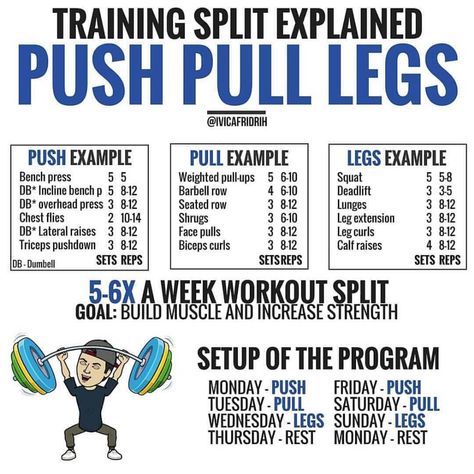 Workouts Splits, Leg Workout Split, Push Pull Workout Routine, Push Pull Legs Routine, Push Pull Legs Workout, Leg Workout Plan, Push Pull Workout, Workout Split, Push Pull Legs