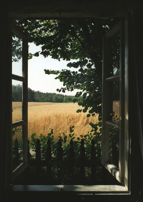 An Open Window, Nature Architecture, Affinity Photo, Window View, Summer Set, Open Window, Through The Window, Pretty Places, Narnia