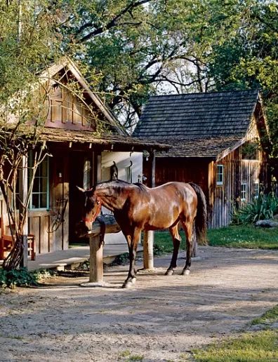 Cattle Farm, California Ranch, Rodeo Cowboys, Anjelica Huston, Cowboy Horse, Country Lifestyle, Country Kids, Central Valley, Horse Ranch