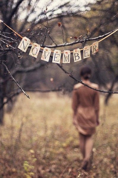 November Hello November, Foto Tips, Stil Inspiration, Seasons Of The Year, Foto Inspiration, Samhain, Pics Art, Months In A Year, A Sign