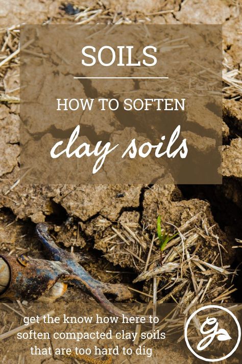 Amending Clay Soil, Folk Crafts, Soil Types, Garden Prepping, Side Yard Landscaping, Gardening Vegetables, Backyard Landscape, How To Make Clay, Soil Testing