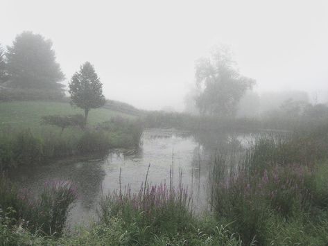 Foggy Weather, Foggy Forest, Soft Grunge, Nature Aesthetic, Flower Field, Mother Earth, Land Scape, Mother Nature, Beautiful Nature