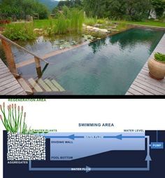 natural swimming pool using shipping container - Google Search ... Piscina Container, Container Pool, Natural Swimming Ponds, Backyard Pond, Swimming Pond, Natural Pond, Natural Swimming Pools, Piscina Natural, Natural Swimming Pool