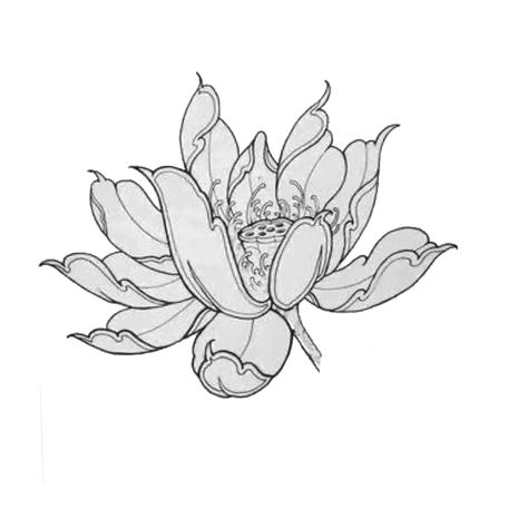 Lotus Neotraditional Tattoo, Flower Meanings Tattoo, Japanese Lotus Tattoo, Lotus Blossom Tattoos, Tattoos Lotus, Henna Tattoo Designs Arm, Water Lily Tattoos, Japanese Lotus, Flowers Lotus