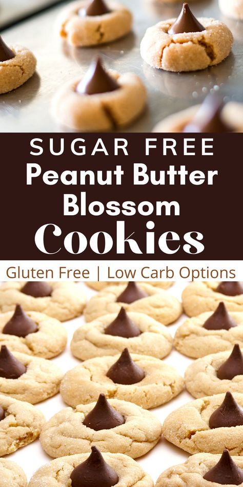 Keto Peanut Butter Blossom Cookies, Splenda Cookie Recipes, Bariatric Christmas Cookies, Gluten Free Recipes For Diabetics, Christmas Cookies For Diabetics, Christmas Treats For Diabetics, Deserts For Diabetics, Sugar Free Thanksgiving Desserts, Low Carb Sugar Free Desserts