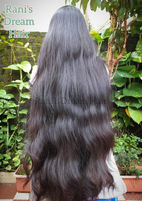 Dry Long Hair, Indian Long Hair Braid, Open Hair, Hair Pics, Long Shiny Hair, Long Hair Images, Long Indian Hair, Long Silky Hair, Physical Appearance