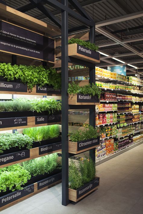 ©studiomfd, Instore, Herb Garden, retail, design, green, eco, albert heijn, XL (www.studiomfd.com) Indoor Farming, Vegetable Shop, Grocery Store Design, Supermarket Design, Vertical Farming, Plants Growing, Fruit Shop, Retail Store Design, Hydroponic Gardening