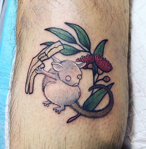 Hush from Australian classic childrens book Possum Magic. Done by Kat Weir at Hot Copper Studio Melbourne Australia with proceeds going to Wildlife Victoria bushfire appeal. #tattoos #tattoo #beauty Possum Magic Tattoo, Possum Magic, Trending Tattoos, Magic Tattoo, Classic Childrens Books, R Tattoo, Classic Kids, Melbourne Australia, Children’s Books