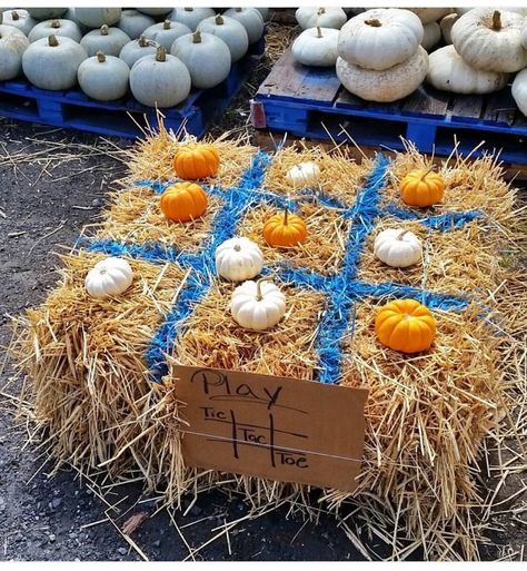 Outdoor Fall Decor For School, Fall Booths Ideas, Fall Bash Ideas, Pumpkin Festival Decorations, Fall Festival Centerpieces, Home Pumpkin Patch Ideas, Fall Festival At Home, Fall Fest Booth Ideas, Nursing Home Fall Festival