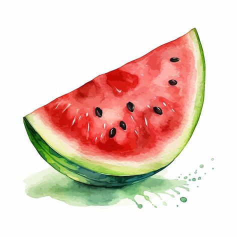 Watermelon Art Print, Watermelon Drawing, Watermelon Clipart, Watermelon Illustration, Jelly Shots, Watermelon Art, Kids Watercolor, Watercolor Fruit, Cat Air