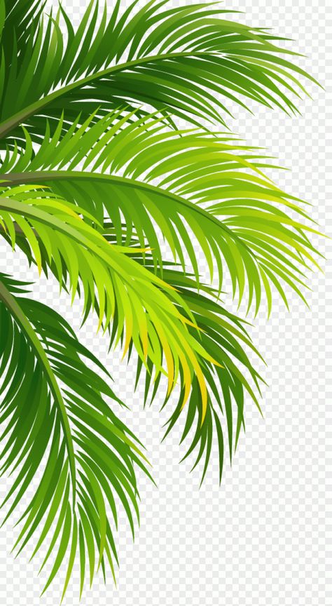 Green palm tree sticker, watercolor Leaves, leaf, branch, Coconut water Air filter Plant, Leaves, Pictures Of Leaves, Instagram Logo Transparent, Palm Tree Sticker, Palm Tree Png, Plain Wallpaper Iphone, Embroidered Canvas Art, Coconut Leaves, Tree Sticker, Leaves Png