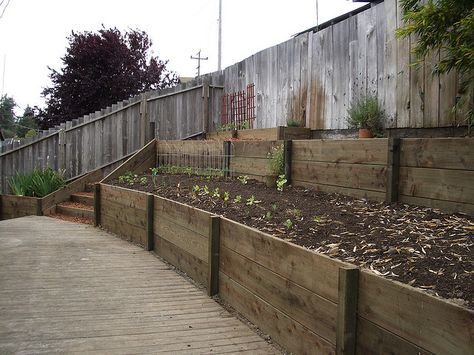 Retaining wall with 2x12 pressure treated wood 2 by Humboldt Landscape, via Flickr Retaining Wall Deck Ideas, Inexpensive Retaining Wall Ideas, Cheap Retaining Wall, Wooden Retaining Wall, Reka Bentuk Landskap, California Landscaping, Wood Retaining Wall, Retaining Wall Ideas, Backyard Retaining Walls