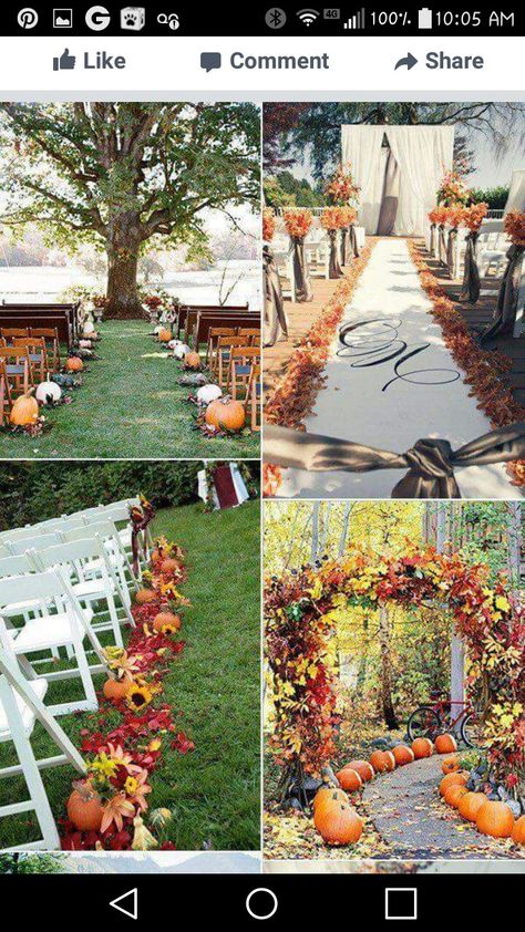 Pumpkin Patch Wedding, Autumn Reception, Pumpkin Wedding, Outdoor Fall Wedding, Wedding List, Future Wedding Plans, Wedding Theme Colors, Outdoor Wedding Decorations, Wedding Essentials