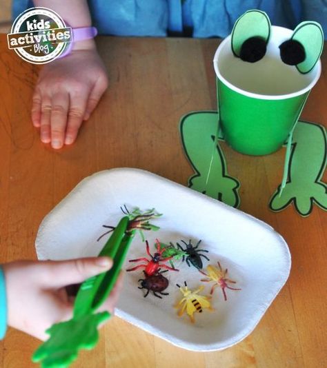 Critters Preschool Activities, Rainforest Fine Motor Activities, Tweezer Activities For Kids, Frog Math Activities For Preschool, Tiddalick The Frog Activities, Tweezer Activities For Preschool, Frog Crafts For Preschoolers, Preschool Frog Activities, Frog Crafts For Toddlers