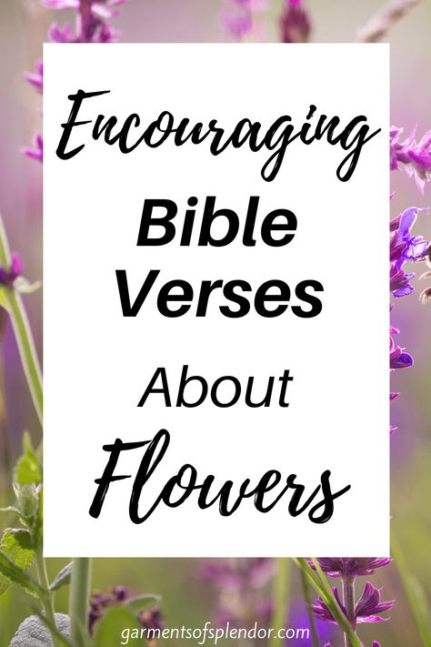 Scripture About Blooming, Bloom Bible Verse, Christian Flower Quotes, Scripture About Flowers, Bloom Where You Are Planted Bible Verse, Bible Verse About Flowers, Scripture Flowers, Biblical Flowers Tattoo, Bible Verses About Flowers