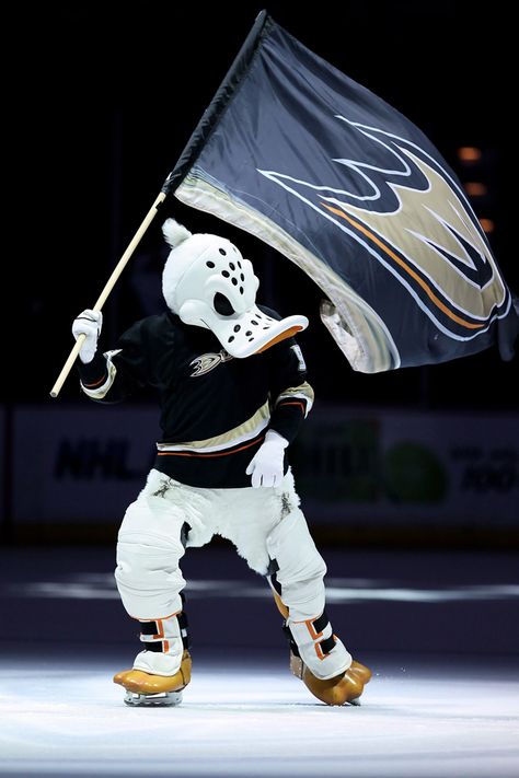 IMAGES OF THE  DUCKS HOCKEY MASCOTS | Anaheim Ducks Mascot Nhl Mascots, Anaheim Ducks Hockey, Nhl Wallpaper, Ducks Hockey, Duck Costumes, Duck Season, Duck Wallpaper, Hockey Gear, Mighty Ducks