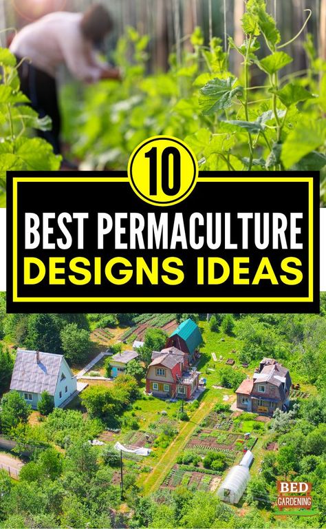 10 Best Permaculture Design Ideas. In this article, we are going to discuss the 10 best permaculture Garden designs with you. If you are one of those who don’t know about it then this article will help you a lot. The practical application of permaculture is an important point to know. Food Garden Design, Landscape Garden Ideas, Permaculture Design Course, Backyard Food, Food Forest Garden, Permaculture Garden, Permaculture Principles, Farm Plans, Permaculture Gardening