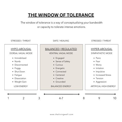 Polyvagal Exercises, Polyvagal Theory Exercises, Regulate Nervous System, Nervous System Regulation Tools, Mental Health Occupational Therapy, Somatic Vs Autonomic Nervous System, How Does The Nervous System Work, How To Heal A Disregulated Nervous System, Regulating Your Nervous System
