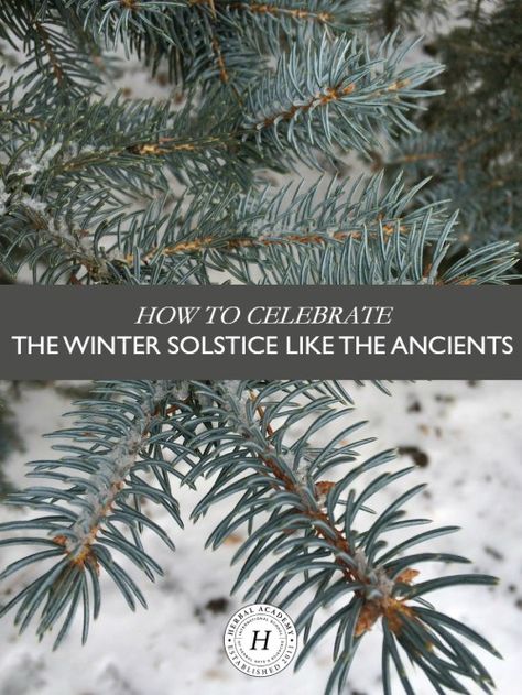 How To Celebrate The Winter Solstice Like The Ancients ––– The winter solstice is an astronomical event that has been celebrated since ancient times. We have several great ideas to help you celebrate! Winter Solstice Party, Yule Traditions, Winter Solstice Traditions, Yule Celebration, Winter Solstice Celebration, Solstice Party, Pagan Yule, Solstice And Equinox, Herbal Academy