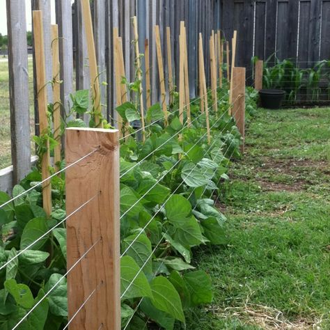 Garden Fence- DIY 2x4 and 17 gauge steel wire garden fence. We built this fence all the way around our small yard to utilize space and keep children and dogs out. Cheap Garden Fencing, Small Garden Fence, Fenced Vegetable Garden, Diy Garden Fence, Garden Fence Ideas, Small Fence, Privacy Fence Designs, Cheap Fence, Cheap Backyard