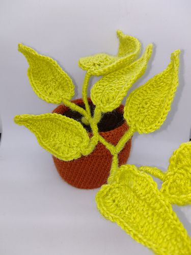 Ravelry: 5x Houseplants pattern by Coel Janes Riley Philodendron Florida Ghost, Cebu Blue, Florida Ghost, Crochet Plants, Scindapsus Pictus, Philodendron Pink Princess, Philodendron Florida, Neon Pothos, Corrugated Card