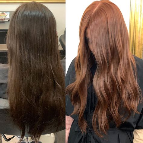 Dark Hair To Ginger Before And After, From Brown To Ginger Hair, Brown Hair To Ginger Before And After, Hair Color Ginger Brown, Copper Hair On Black Hair, Brown Hair To Ginger, Ginger Hair On Brunette, Brunette To Ginger Hair, Brown To Red Hair Transformation