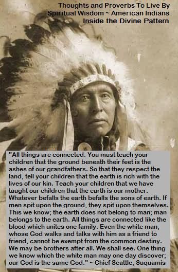 Chief Seattle Tecumseh Poem, Native American Poems, Native American Facts, Native Quotes, American Indian Quotes, Native American Prayers, Chief Seattle, Native American Heritage Month, Native American Wisdom