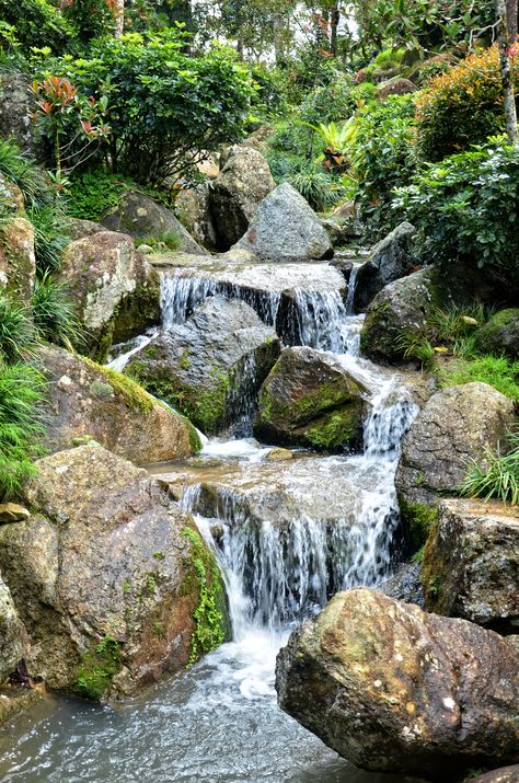 Decorations Items, Mini Waterfall, Dream Backyard Pool, Waterfall Photo, Garden Waterfall, Waterfalls Backyard, Waterfall Features, Pond Design, Rock Garden Landscaping