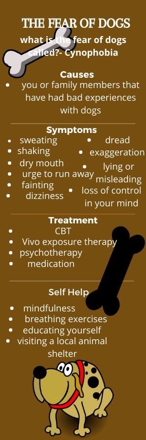 Cynophobia or The Fear of Dogs is a common phobia, this fear can be controlled by first learning why you have it. Fear Of Dogs, Exposure Therapy, Dry Mouth, Breathing Exercises, The Fear, Self Help, Mindfulness, Dogs