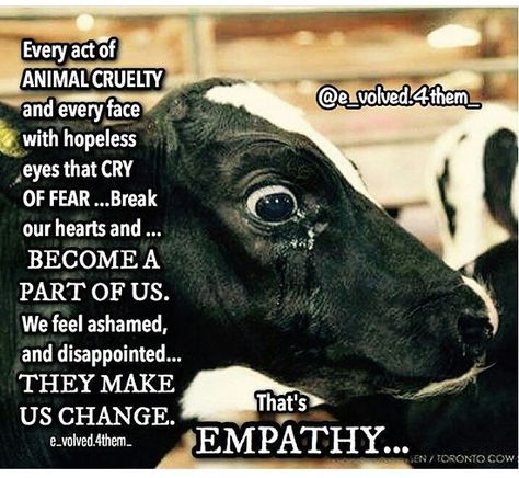 That's why we are vegan. Have compassion, eat and live cruelty free. Reasons To Be Vegan, Reasons To Go Vegan, Being Vegan, Animal Activism, Vegan Quotes, Why Vegan, Animal Liberation, Stop Animal Cruelty, Vegan Animals