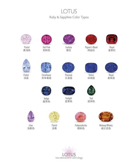 #tealsapphire #mermaidsapphire #partisapphire Sapphire Color Palette, Pigeon Eyes, Teal Stone, Blue Sapphire Jewelry, Fuchsia Flower, Red Rain, Blue Cornflower, Teal Sapphire, Sapphire Color