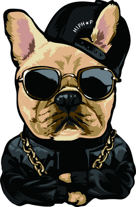 Dog With Hat, Glasses Cartoon, Hip Hop Street Fashion, Dog With Glasses, Animal Illustration Art, Trendy Glasses, Sharpie Art, Cat Artwork, Shirt Printing