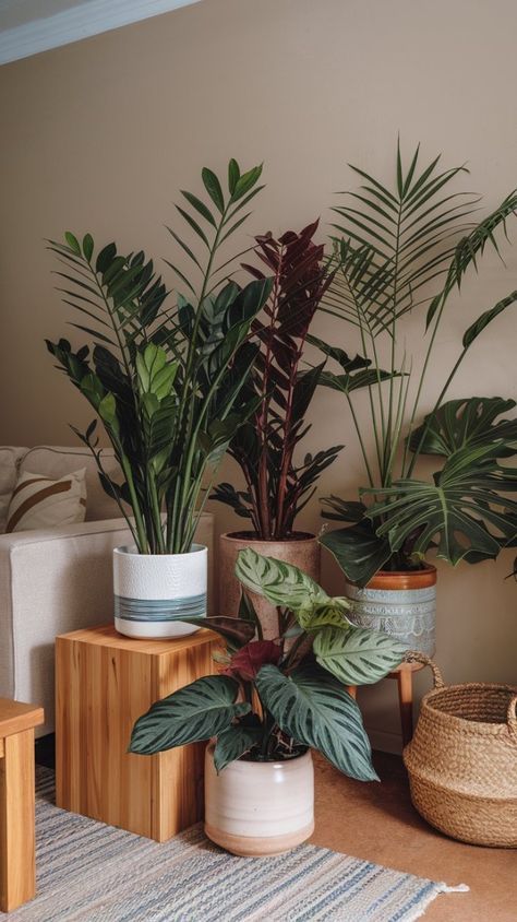 Boho Indoor Plants, Plants Arrangement Indoor, Apartment Decor With Plants, House Plants In Bedroom, House Plant Styling, Inside Plants Decor Living Room, Plants In Office Space, House Plants Living Room, Plants In A Room