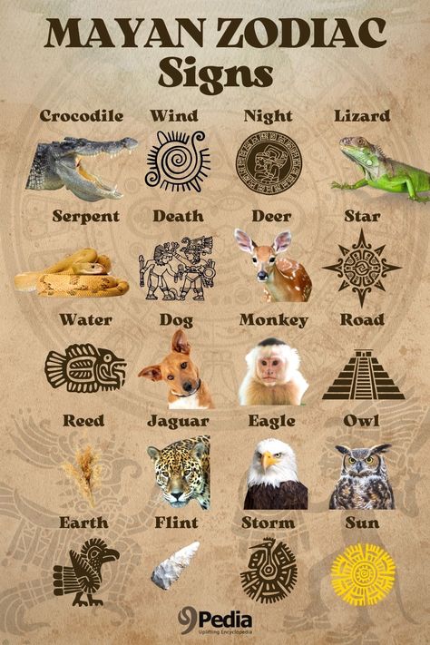 Aztec Zodiac Signs, Mayan Animals, Maya Tattoo Mayan Symbols, Astrology Animals, Mayan Dragon, Mayan Zodiac Signs, Aztec Glyphs, Mayan Zodiac, Mayan Astrology