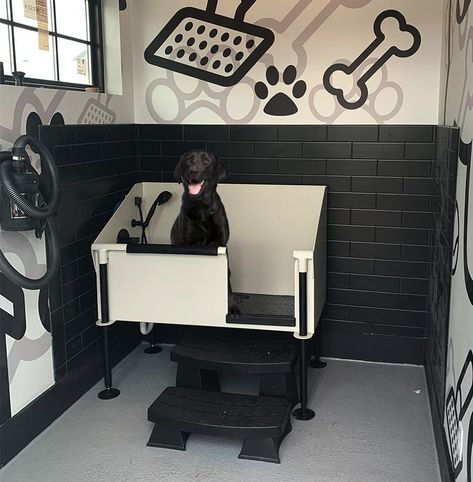 Dog Park Equipment | Dog Playground Equipment | Gyms For Dogs Dog Grooming Salon Decor, Dog Park Equipment, Dog Daycare Business, Dog Agility Equipment, Dog Boarding Facility, Dog Boarding Kennels, Boarding Facility, Indoor Dog Kennel, Pet Grooming Salon