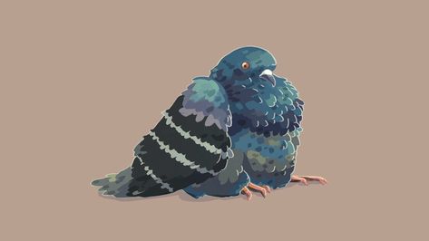 Fat Pigeon, Painting Animation, Cute Pigeon, Scary Dogs, Really Cool Drawings, Motion Design Animation, Animation Reference, Old Paintings, Cute Birds