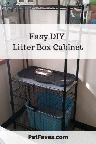 Cat Litter Box Ideas Hidden Dresser, Diy Dog Proof Litter Box Ideas, Storage Bin Litter Box Diy, Keeping Dog Out Of Cat Litter, Litter Box Shelf, Cat Litter Box Privacy Screen Diy, Elevated Litter Box Ideas, Cat Litter Tracking Solutions, Garage Cat Litter Box Ideas