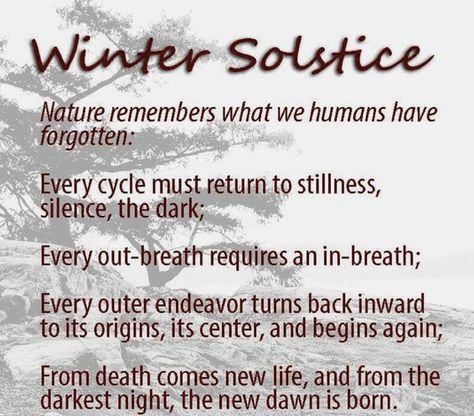 Gone is the darkness and  with patience comes the light, minute by minute. If you can, take some time to be still and feel the solitude of Winter,  if only for a few minutes. Happy shortest day of the year, all hail the Sun King! Winter Solstice Quotes, Solstice Quotes, Winter Solstice Party, Winter Solstice Traditions, Yule Celebration, Winter Solstice Celebration, Pagan Yule, Solstice And Equinox, Happy Winter Solstice