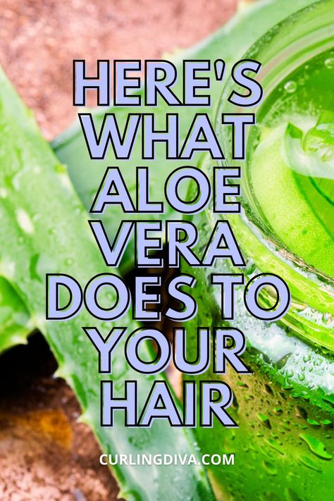 When you think of Aloe Vera, you'll probably think that it's only good for burns. But did you know that it's also good for your hair? Traditionally been used by women in Asia, particularly the Philippines, Aloe Vera gel helps you grow long, thick, healthy and shiny hair. Check out these 3 reasons why aloe vera is good for your hair and the 6 different ways to use it. #hairhacks #DIY #naturalhaircare Aloe Vera Gel For Hair Growth, Healthy And Shiny Hair, Aloe Vera Uses, Aloe For Hair, Aloe Vera Shampoo, Aloe Vera Hair Mask, Scalp Problems, Fresh Aloe Vera, Aloe Vera For Hair