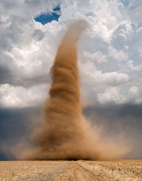 Matka Natura, Wild Weather, Natural Phenomena, Extreme Weather, Pics Art, Science And Nature, Tornado, Amazing Nature, Natural Wonders