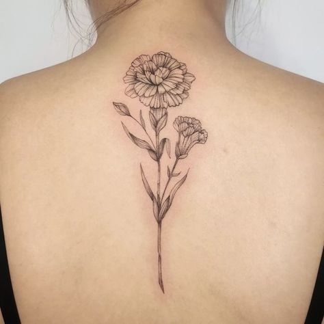 Carnation Tattoo Spine, Carnation Tattoo Forearm, Coronation Flower Tattoo, Dainty Carnation Tattoo, Carnation Back Tattoo, Carnation Spine Tattoo, Carnation And Snow Drop Flower Tattoo, Rose And Carnation Tattoo, Carnation Flower Tattoo Design