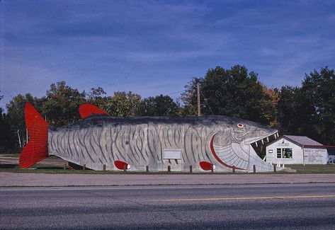 John Margolies’ Photographs of Roadside America  ||  Remarkable collection of photographs documenting the eccentric roadside architecture and ephemera of America. https://publicdomainreview.org/collection/john-margolies-photographs-of-roadside-america/ Highway Architecture, Fish Supper, Peach Water, Mobile Home Parks, Supper Club, Roadside Attractions, Water Tower, Big Fish, Library Of Congress