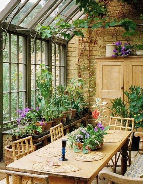 Pretty spot Conservatory Greenhouse, Tropical Decor, Outdoor Rooms, Garden Shed, Winter Garden, Garden Room, Indoor Planters, Indoor Garden, تصميم داخلي