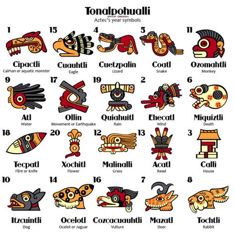 Tonalpohualli Symbols Art Chicano, Aztec Symbols, Aztec Tattoo Designs, Mayan Symbols, Ancient Aztecs, Aztec Culture, Mayan Calendar, Mayan Art, Aztec Tattoo