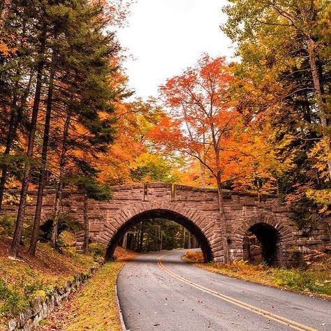 Friday Feels Fall Foliage Road Trips, Maine In The Fall, Maine Road Trip, Best Island Vacation, Maine Vacation, Acadia National Park, Fall Travel, Island Vacation, Scenic Drive