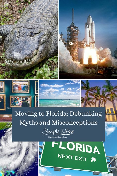 Moving to Florida!!! The name alone evokes iconic imagery; Disney world vacations, orange groves... Then there are the more worrisome stereotypes that many non-Floridians believe to be true! Hungry alligators everywhere; devastating hurricanes every year; the perception that Florida is just a tourist state. Do they sound familiar? If you’re ready to learn the truth about living in Florida, buckle in! Here is everything you need to know about the most popular Florida stereotypes. Move To Florida, Orange Groves, Living In Florida, Storm Surge, Moving To Florida, Disney World Vacation, Waterfront Homes, Central Florida, Florida State