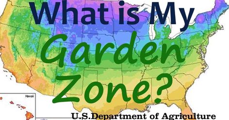 What is my Garden Zone? Using the USDA Hardiness Map - Our Stoney Acres Gardening Zone Map, Planting Zones Map, Growing Green Beans, Gardening For Dummies, Grape Arbor, Growing Onions, Vegetable Garden Planner, Plant Zones, Gardening Zones