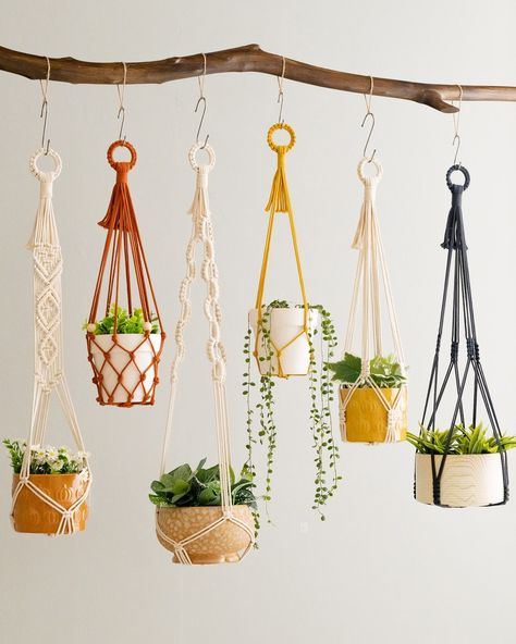 We are thrilled to present to you the next product in our new BeanDaikon Macrame Plant Hanger collection! For all the plant lovers out there, this is a perfect piece to showcase your lovely plants and elevate your home decor. Our product is designed to help you save space while adding a fresh and stylish touch to your living space. Don't miss out—get yours now at https://beandaikon.com/products/wall-hanging-plant-holder-for-stylish-indoor-and-balcony-decor or click the link in our bio to vis... Macrame Plant Holders, Plant Hanging, Support Pour Plante, Macrame Planter, Support Plante, Hanging Plant Holder, Macrame Plant Holder, Macrame Hanger, Macrame Hanging