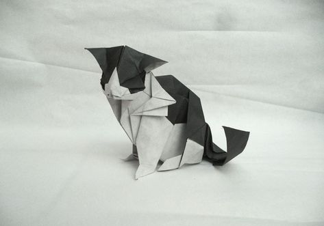 25 Purr-fect Origami Cats, Fur Real, I'm not Kitten... Origami Cat Instructions, Cat Origami, Cat Money, Tutorial Origami, Origami Ball, Origami Bookmark, Cute Origami, Origami Dragon, Origami Fish